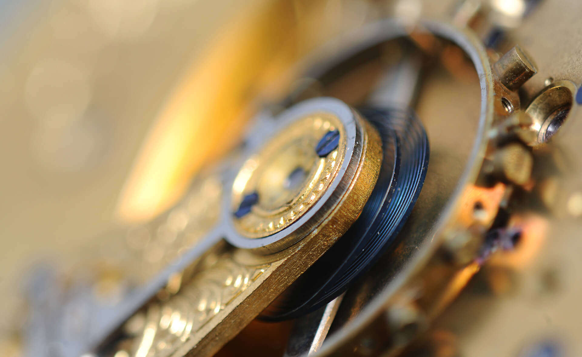 background image showing gears and springs of a clock